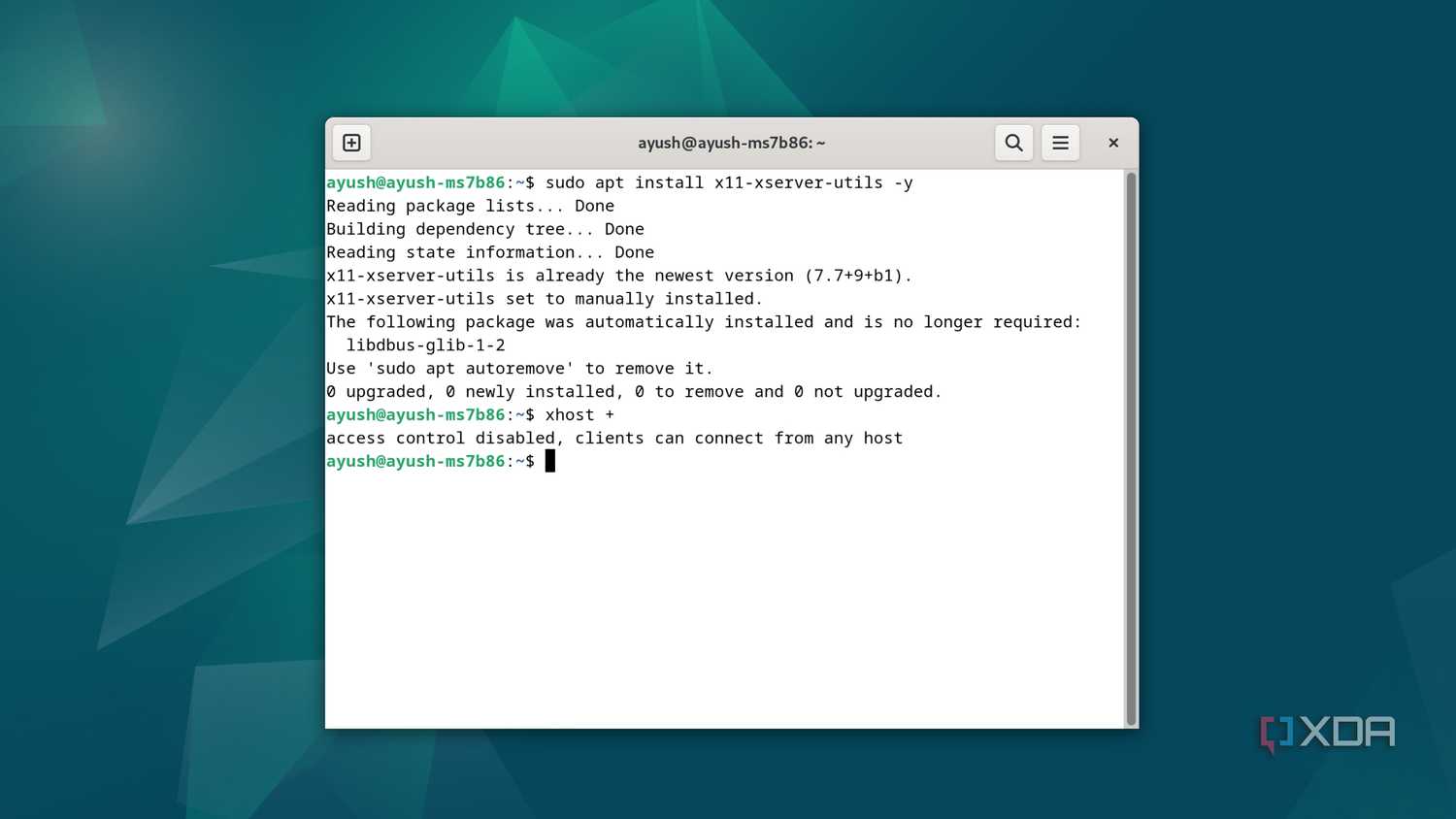 Running the xhost + command in Debian