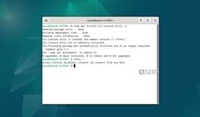 Running the xhost + command in Debian