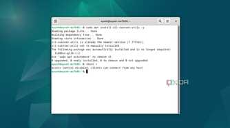 Running the xhost + command in Debian
