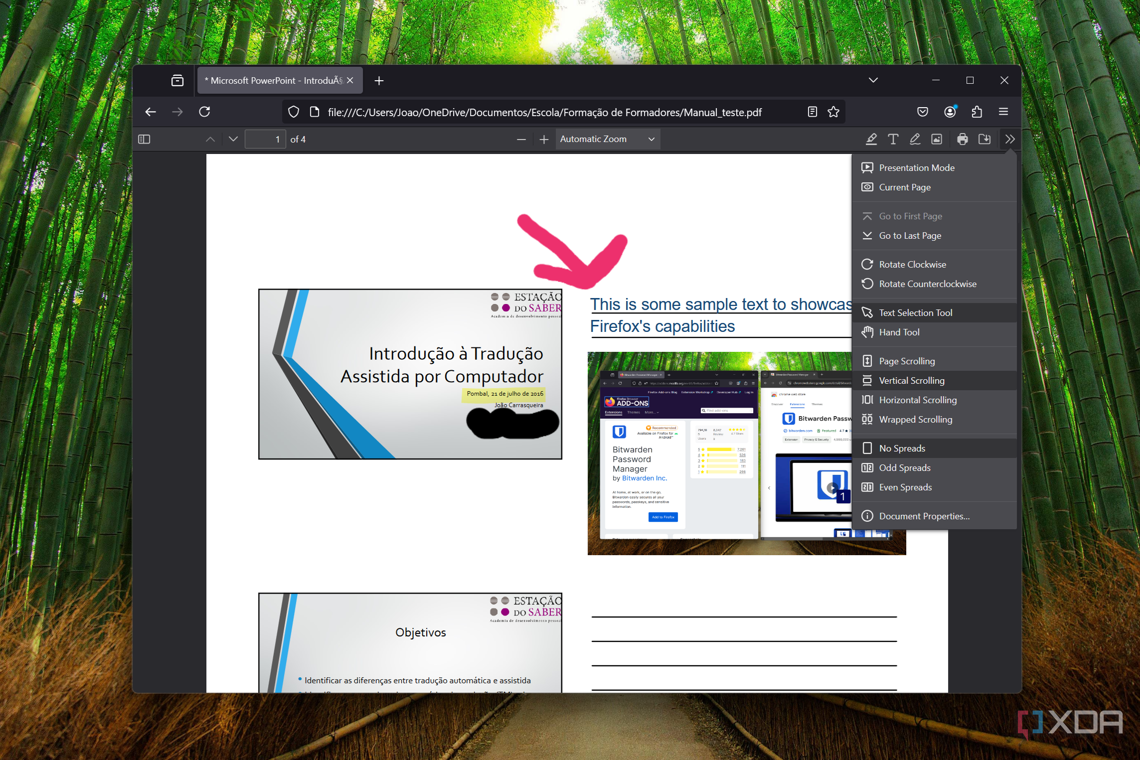 Screenshot of PDF viewing options in Firefox