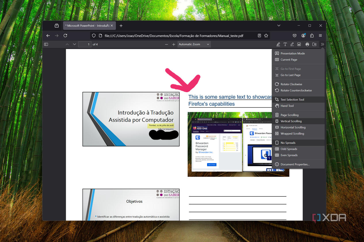 Screenshot of PDF viewing options in Firefox