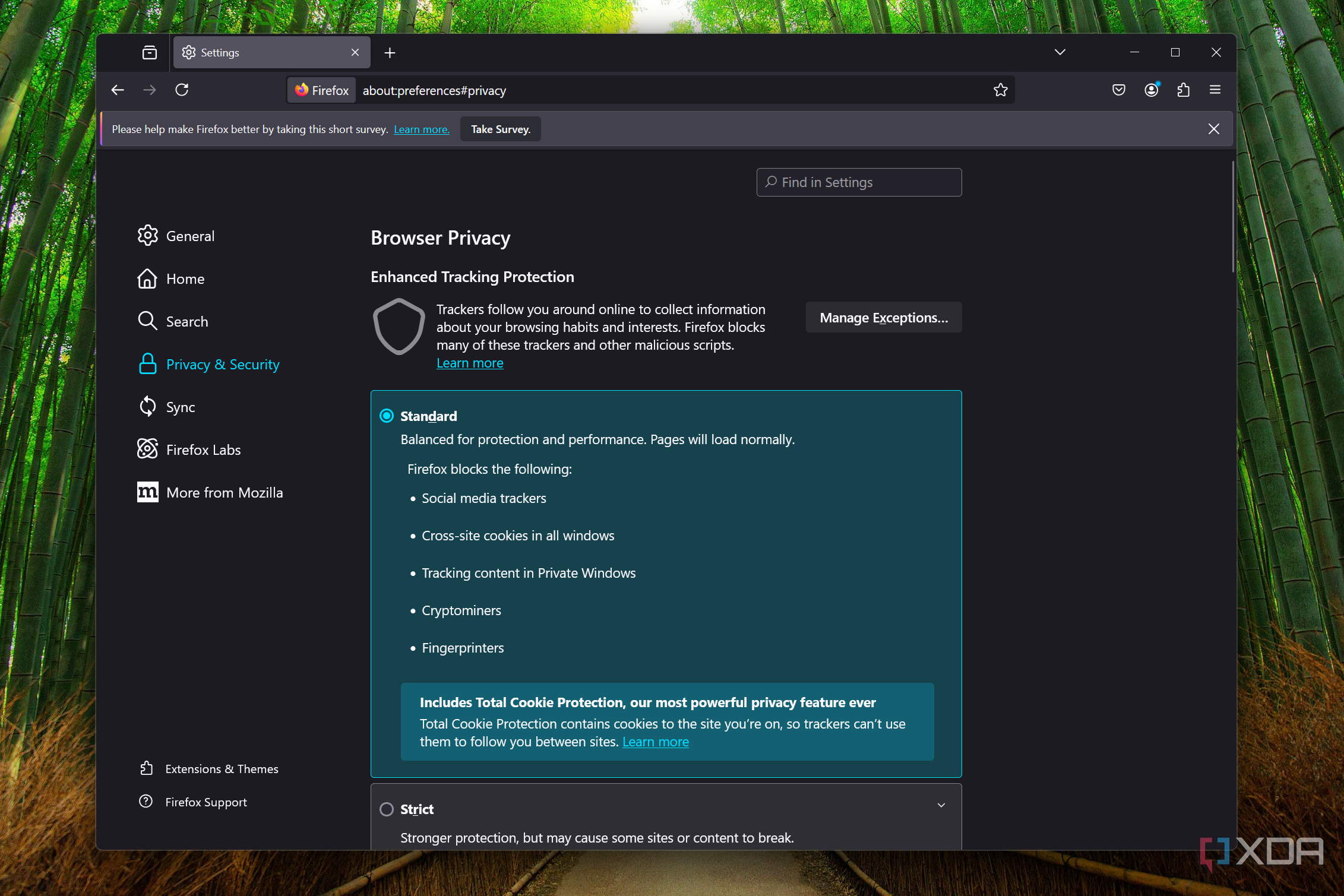 Screenshot of Firefox privacy settings