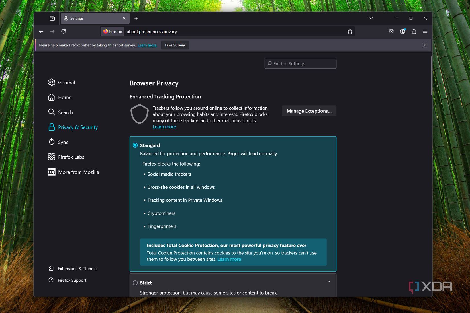 Screenshot of Firefox privacy settings