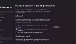 Microsoft Windows Search permissions
