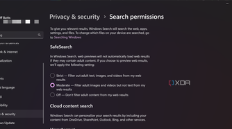 Microsoft Windows Search permissions