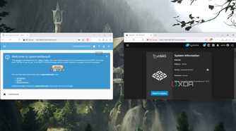Running OpenMediavault alongside TrueNAS Scale