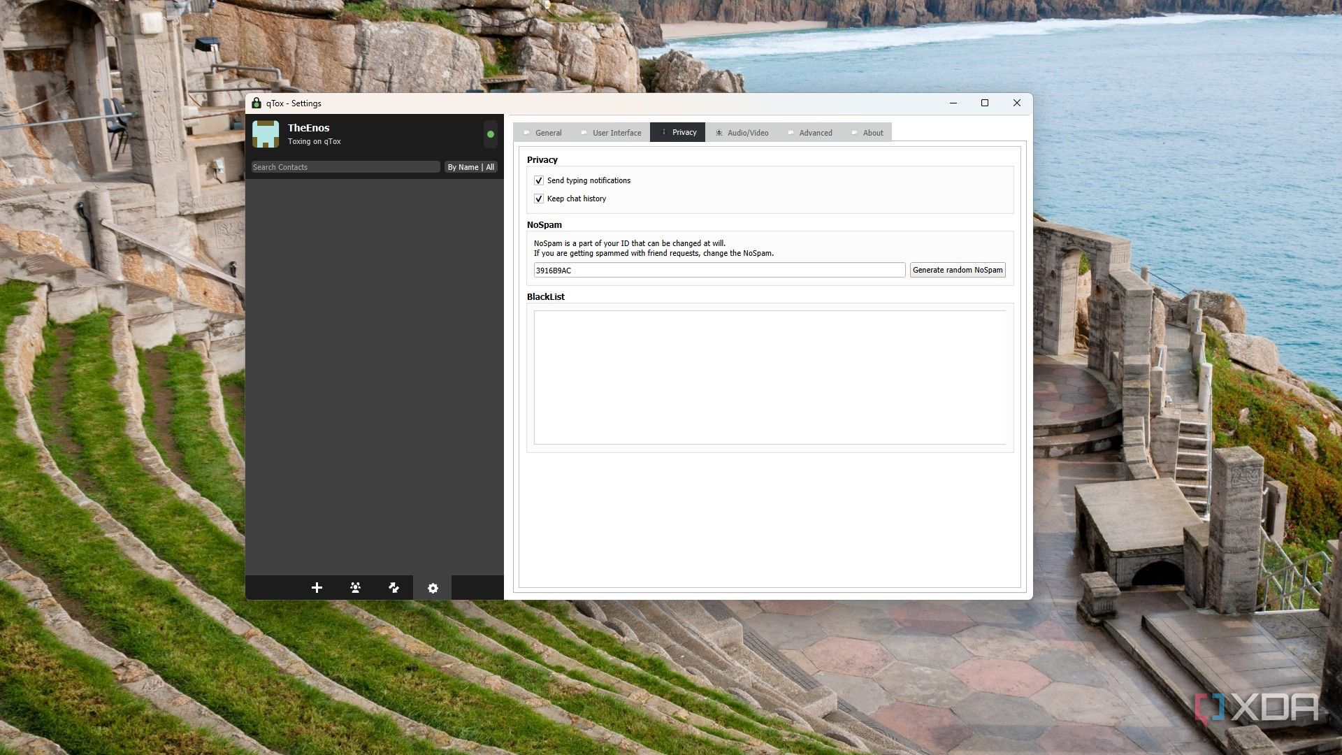 image showing the qtox settings privacy tab