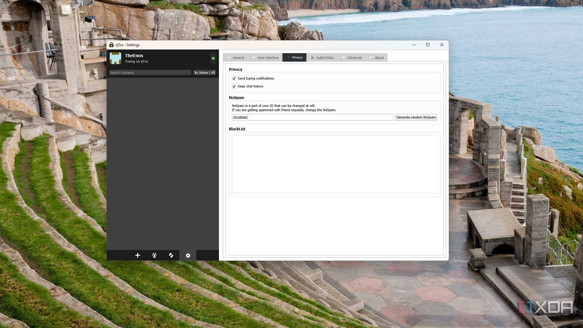 image showing the qtox settings privacy tab