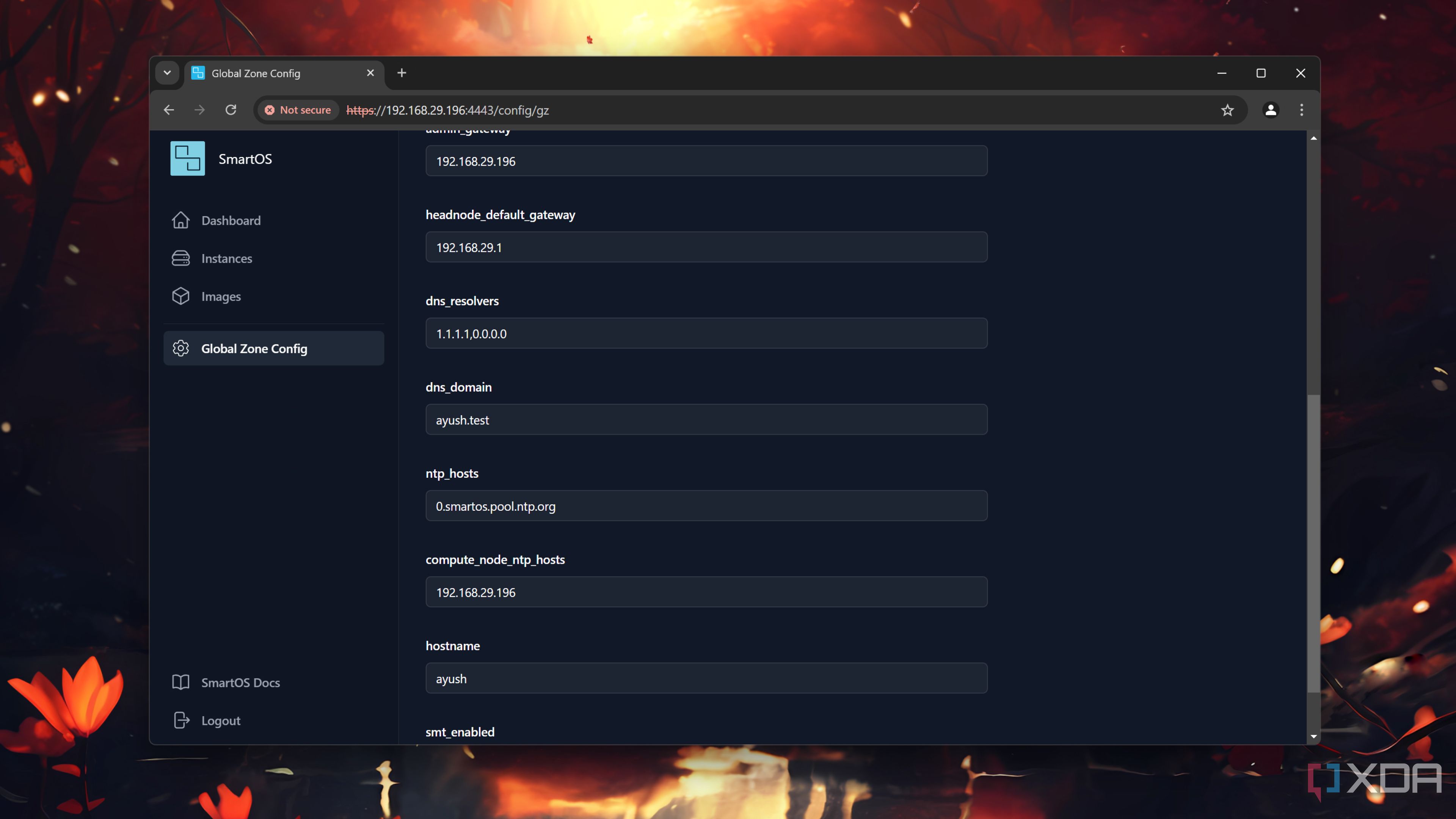 The network section in SmartOS
