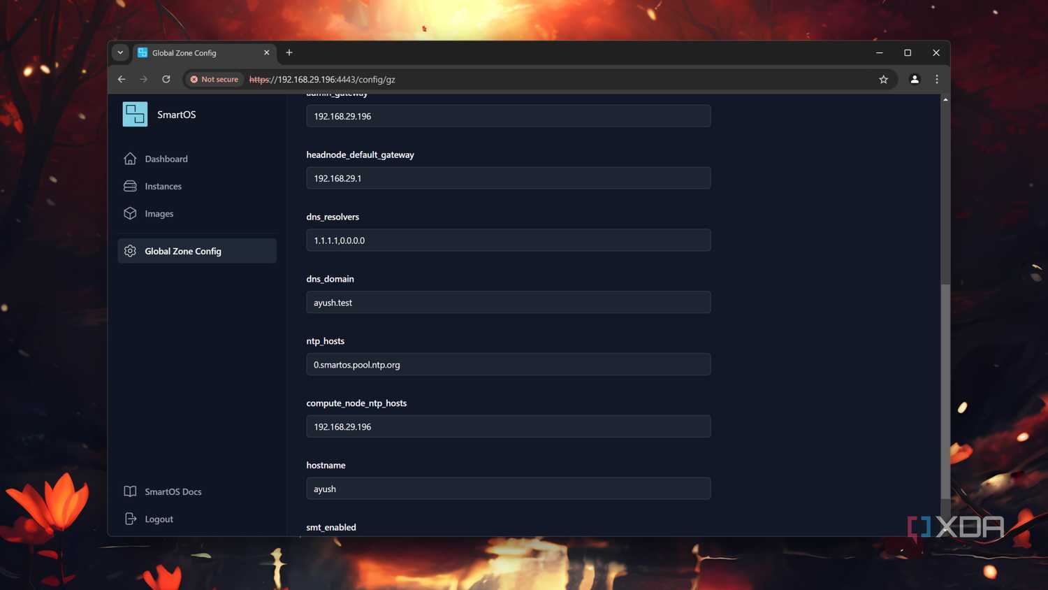 The network section in SmartOS