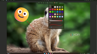 Screenshot of Snipping Tool showing an emoji and an arrow added with the app itself, as well as a menu showing color and transparency options for a shape