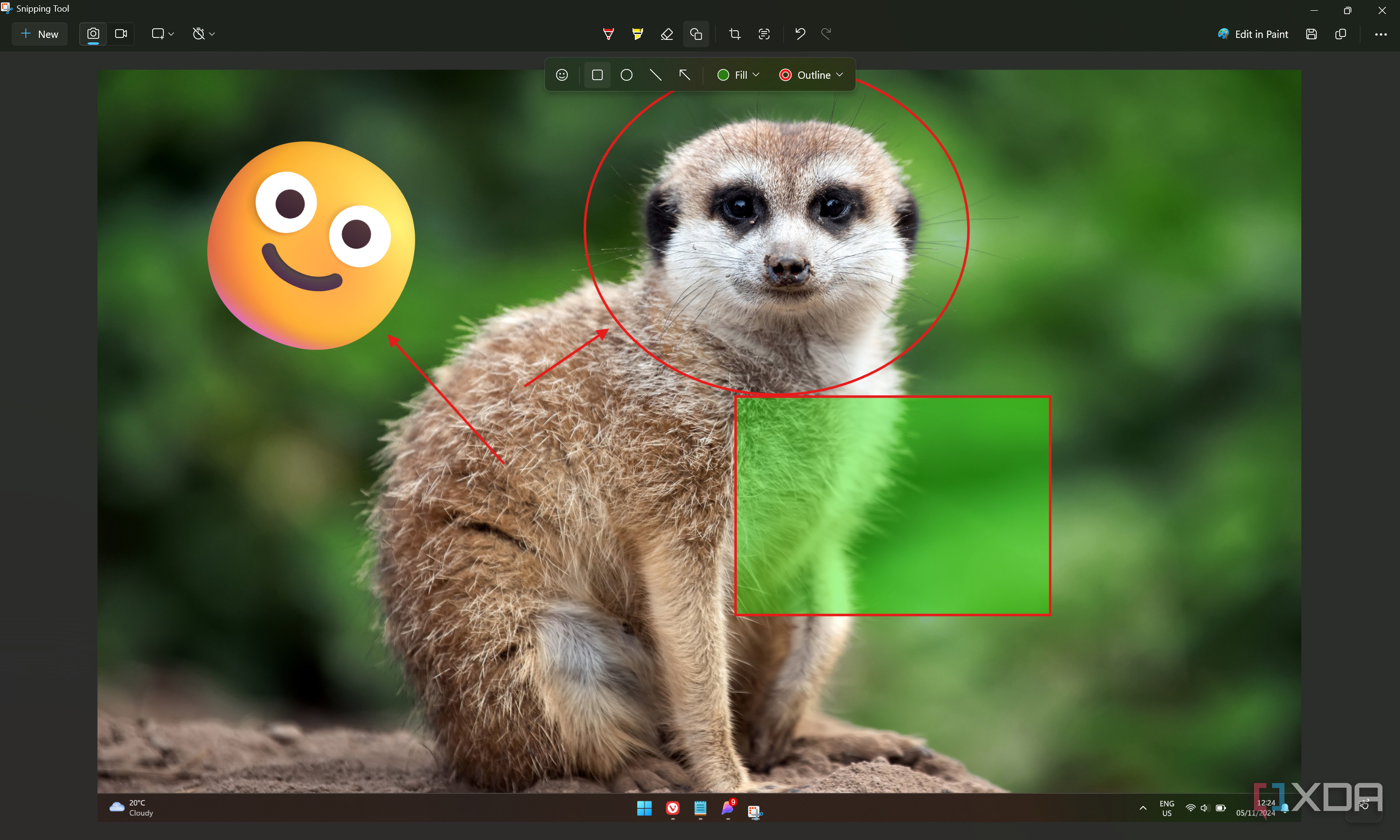Screenshot of snipping Tool showing various shapes added to an image