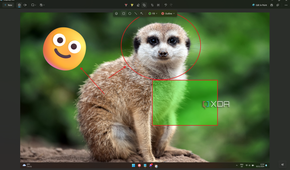 Screenshot of snipping Tool showing various shapes added to an image