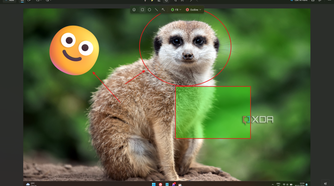 Screenshot of snipping Tool showing various shapes added to an image