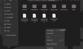Ubuntu Open in Terminal screenshot