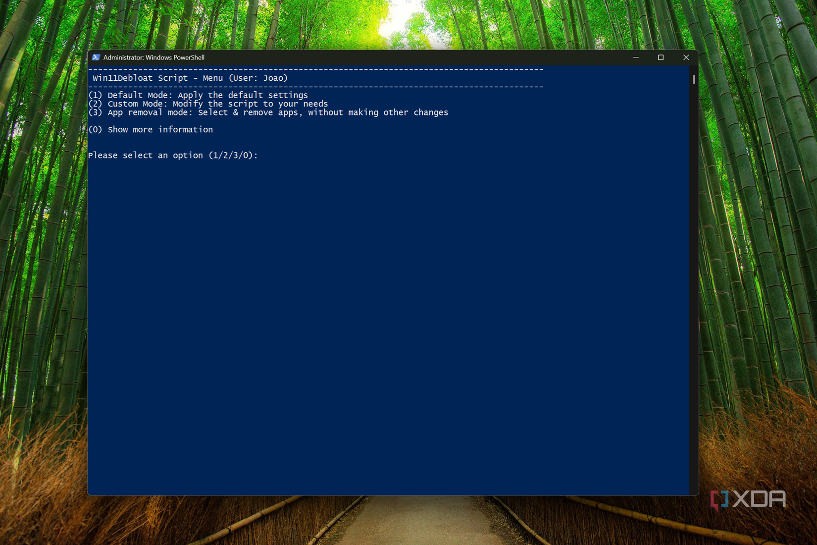 Screenshot of PowerShell running the Win11Debloat script