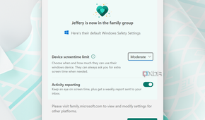 Windows 11 in Family Group