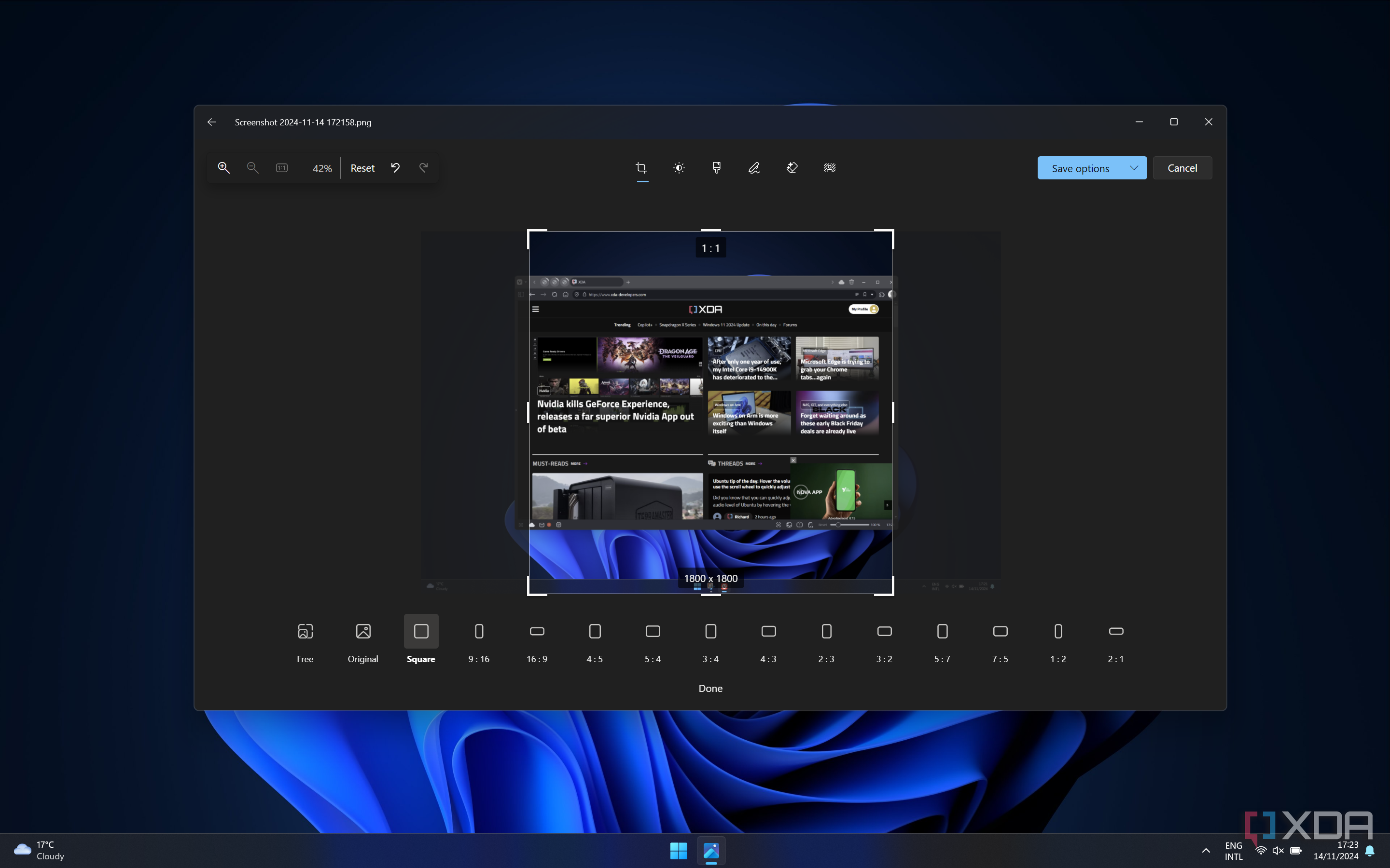 Screenshot of the Windows 11 Photos showing an image cropped to a squre aspect ratio