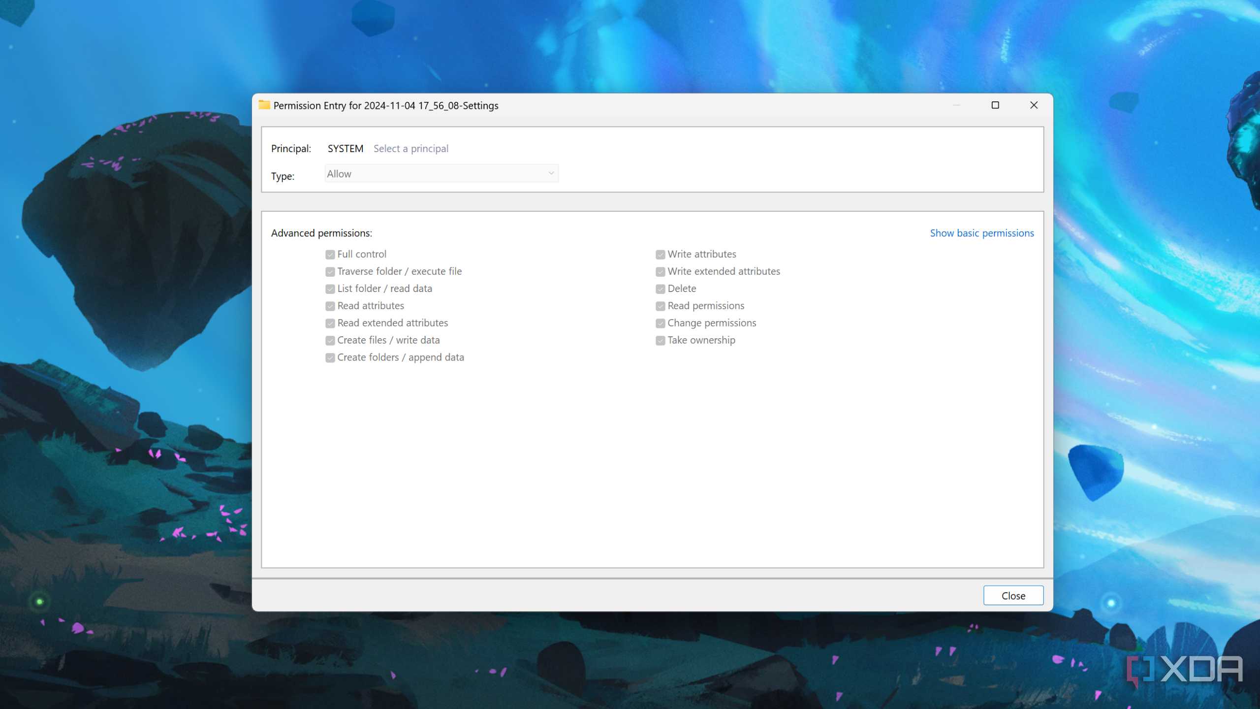 The Advanced parameters for Windows Permissions