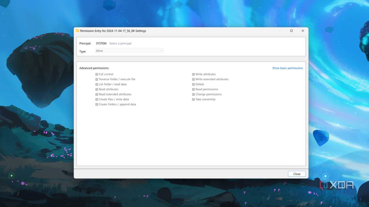 The Advanced parameters for Windows Permissions