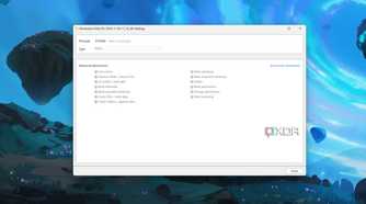 The Advanced parameters for Windows Permissions