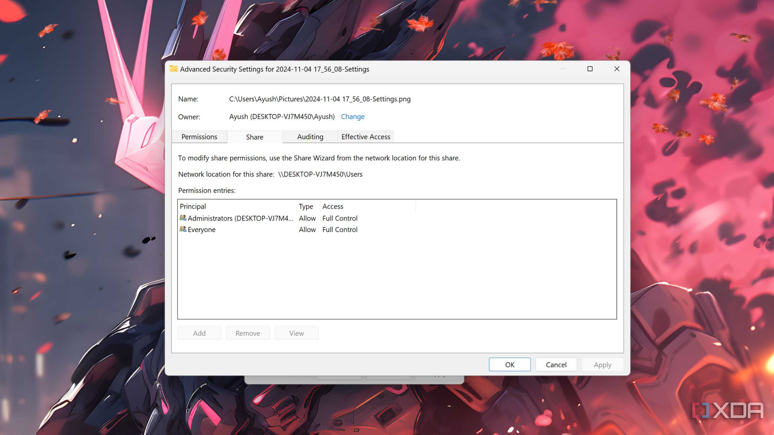 The Advanced Security Settings for Windows Permissions
