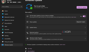 Windows Update