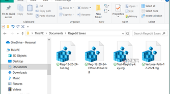 showing back up registry saves to directory in Windows