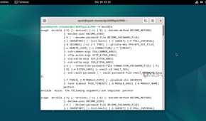 Running Ansible inside Debian