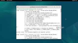 Running Ansible inside Debian