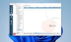 Screenshot of Clement playing music from a radio with a list of stations shown on the left