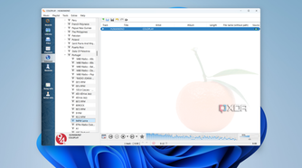 Screenshot of Clement playing music from a radio with a list of stations shown on the left