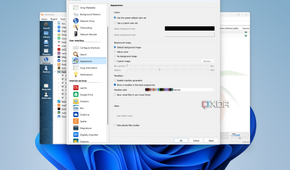 Screenshot of Clementine settings on Windows 11