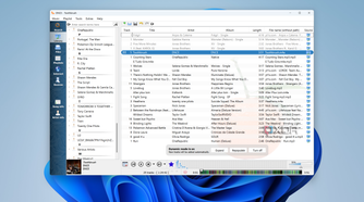 Screenshot of Clementine on Windows 11 with a large playlist loaded and a list of artists on the left side