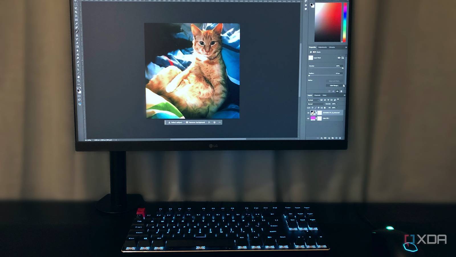 Editing photos on ginger cat in Photoshop on desktop PC