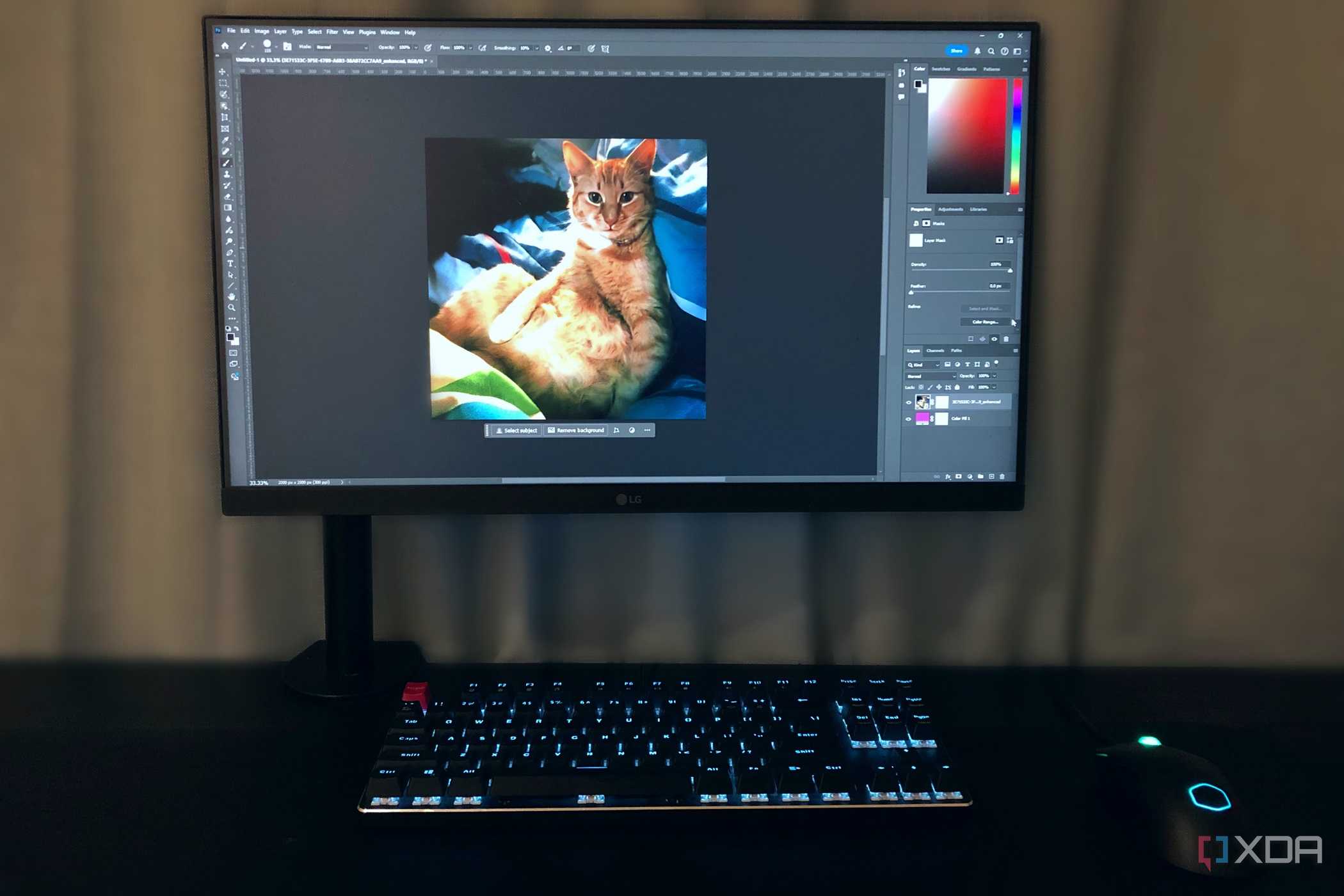 Editing photos on ginger cat in Photoshop on desktop PC