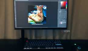 Editing photos on ginger cat in Photoshop on desktop PC