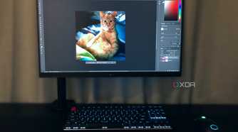 Editing photos on ginger cat in Photoshop on desktop PC