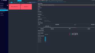 screenshot of icinga dashboard showing in depth details about a dns server