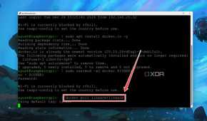 Pulling a Docker image