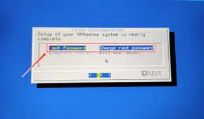 Selecting the Root Password in the OPNsense installer wizard