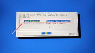 Selecting the Root Password in the OPNsense installer wizard