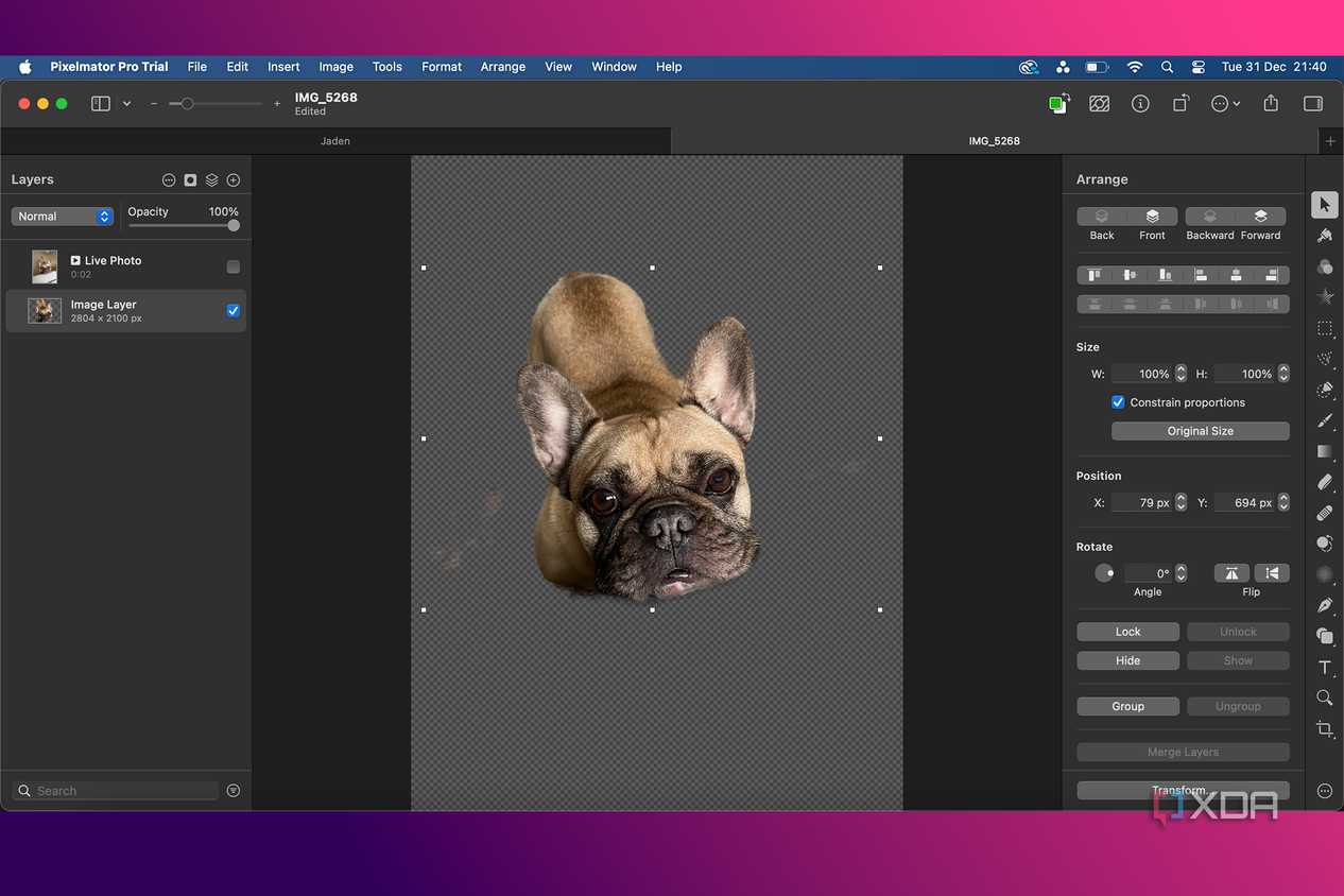 Pixelmater-Pro-AI-features-Background-removal