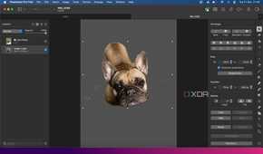 Pixelmater-Pro-AI-features-Background-removal