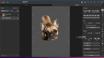 Pixelmater-Pro-AI-features-Background-removal