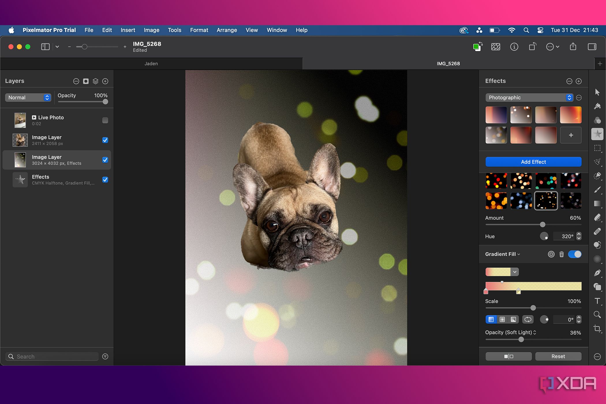 Pixelmater-Pro-AI-features-Bokeh
