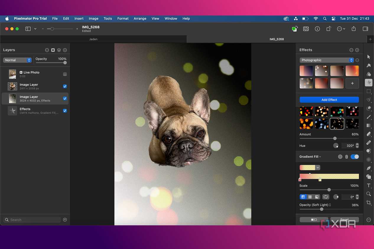 Pixelmater-Pro-AI-features-Bokeh