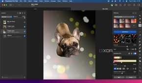 Pixelmater-Pro-AI-features-Bokeh