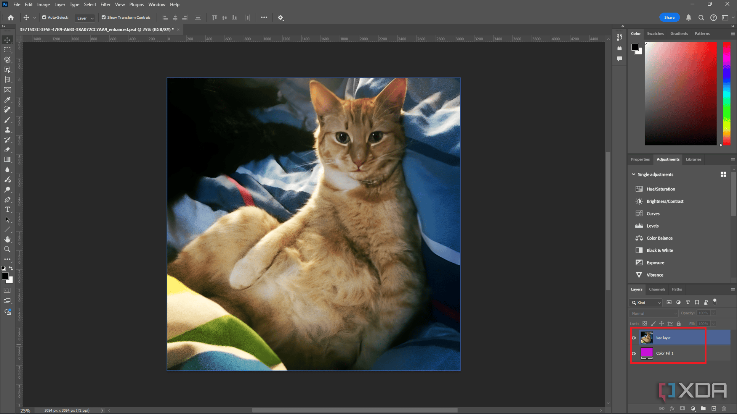 Two layers in Photoshop, ginger cat top layer, solid magenta Color Fill layer at bottom