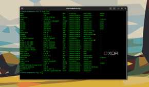 Ubuntu snap list command